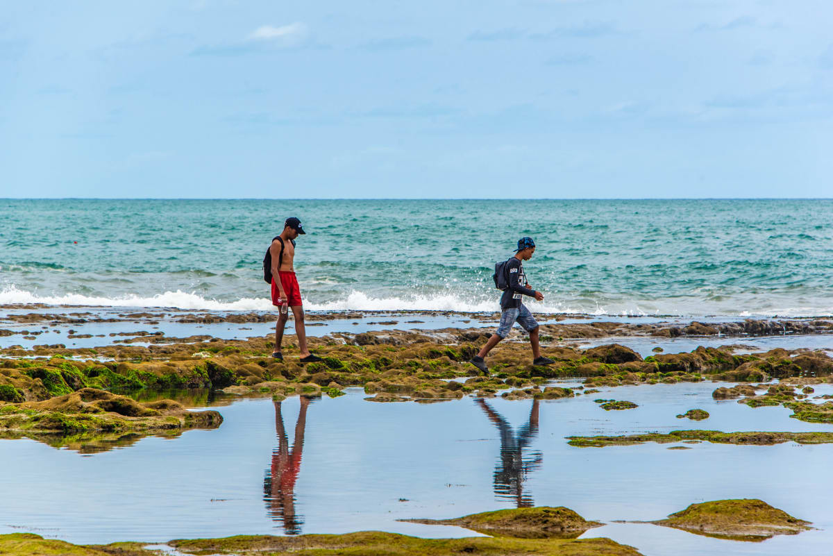 Exploring the Tidepools - Rabat, Morocco 