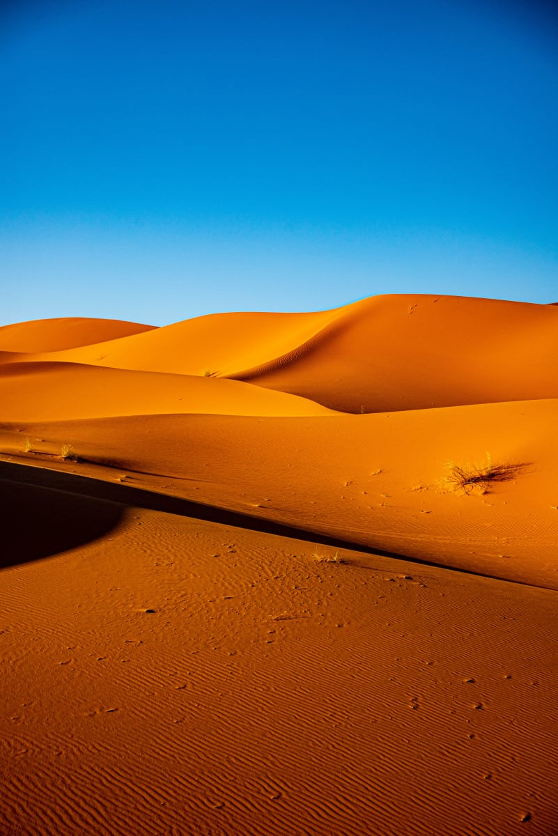 Sand Dune Abstract #1 - Sahara Desert, Morocco 