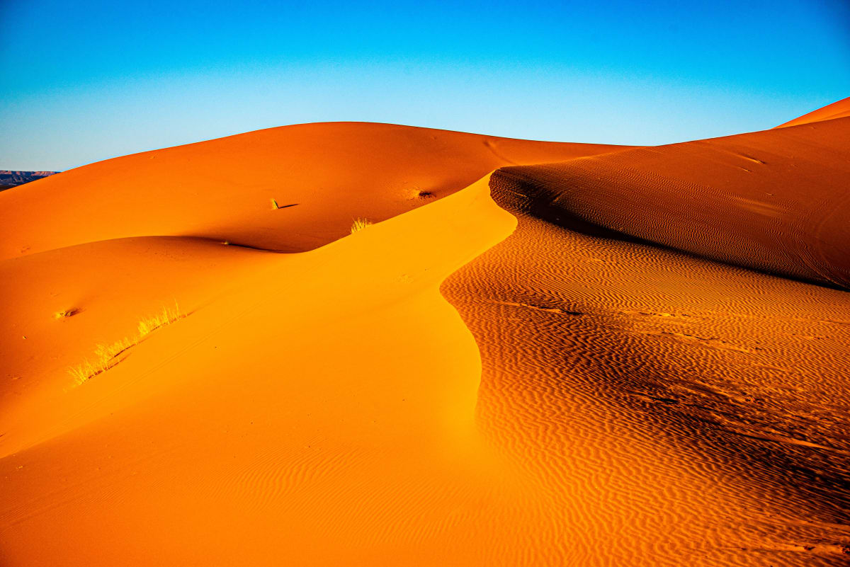 Sand Dune Abstract #5 - Sahara Desert, Morocco, Image 1.