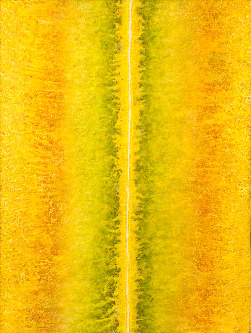 Moss Benzoin, Image 1.
