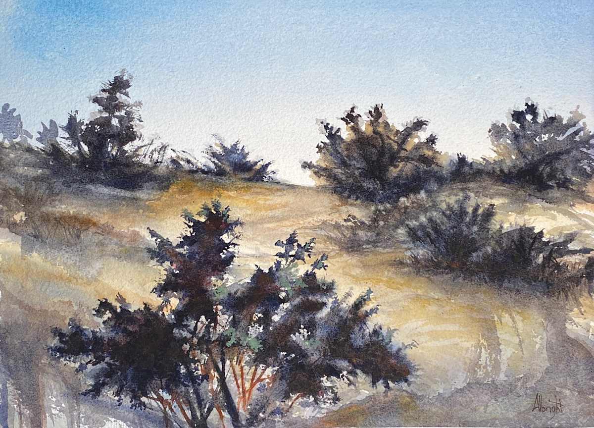 Bitter Brush 3 by Sam Albright 