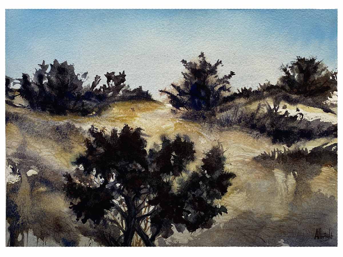 Bitterbrush by Sam Albright 