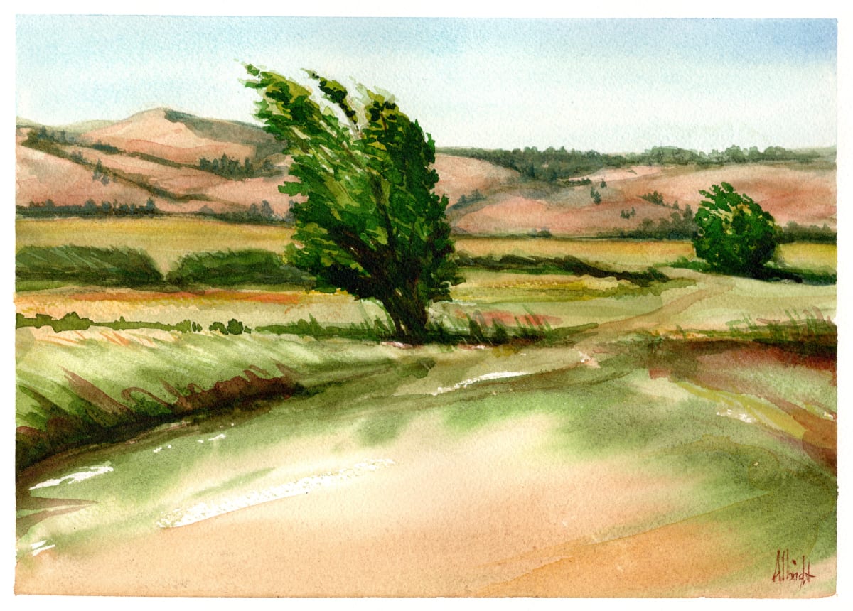 Breezy Hawthorn by Sam Albright 