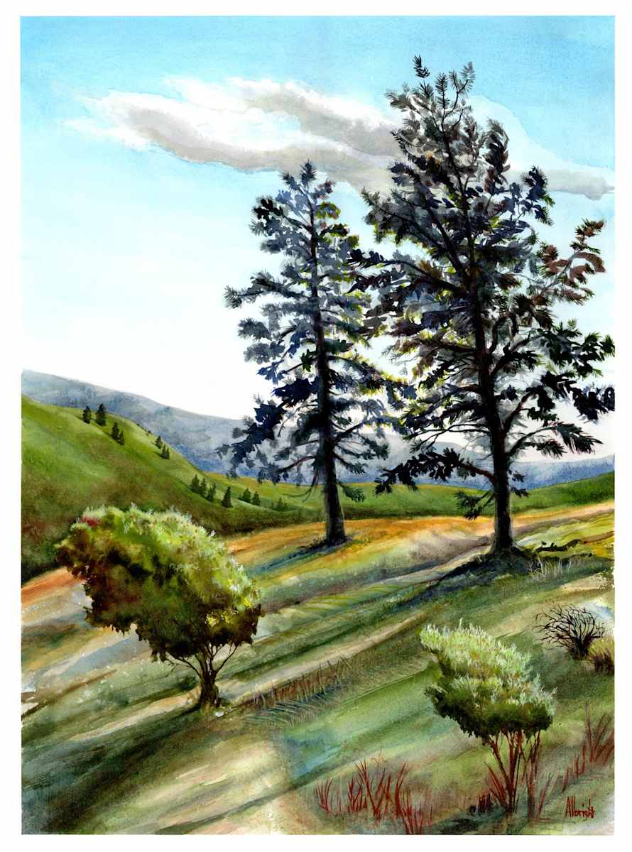 Bush Pines by Sam Albright, Image 1.