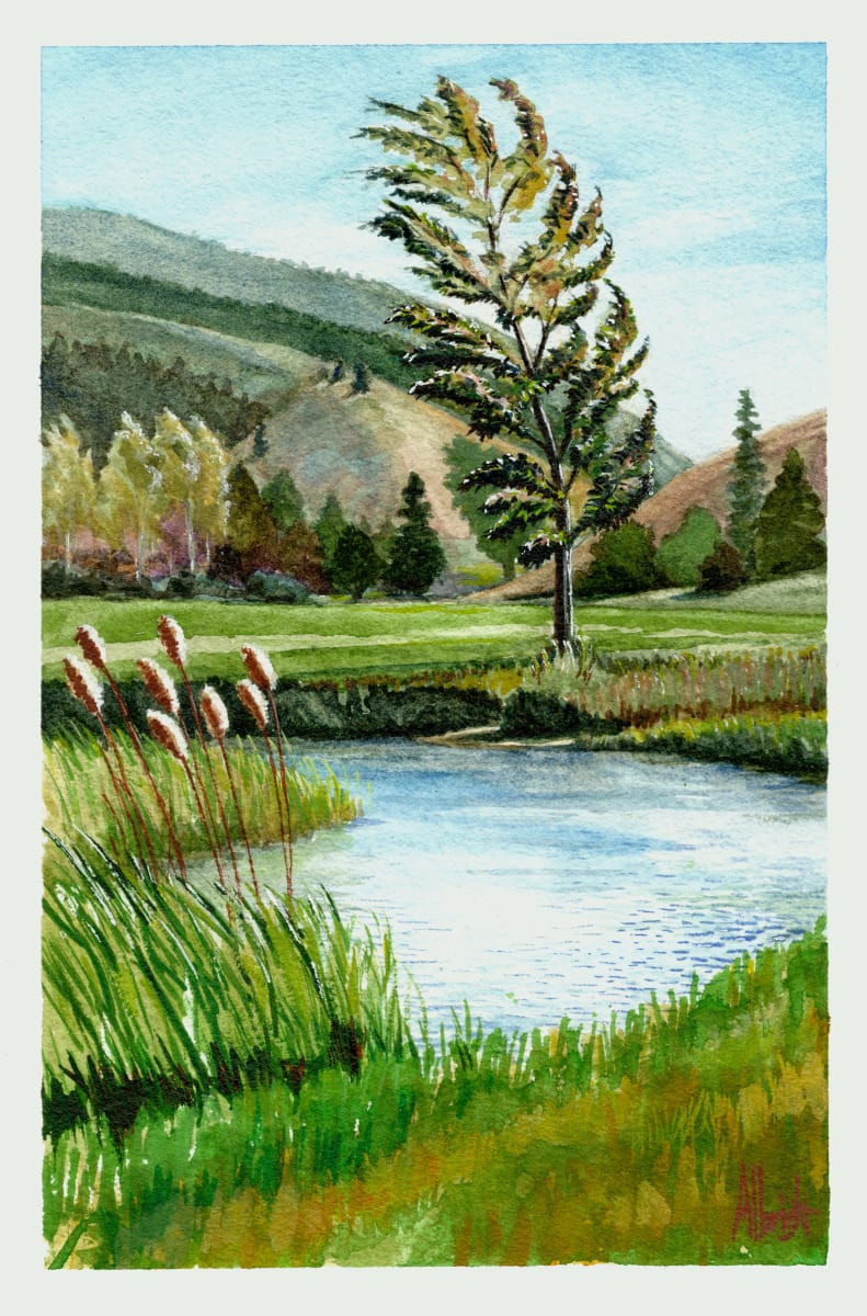 Cattail Pond by Sam Albright 