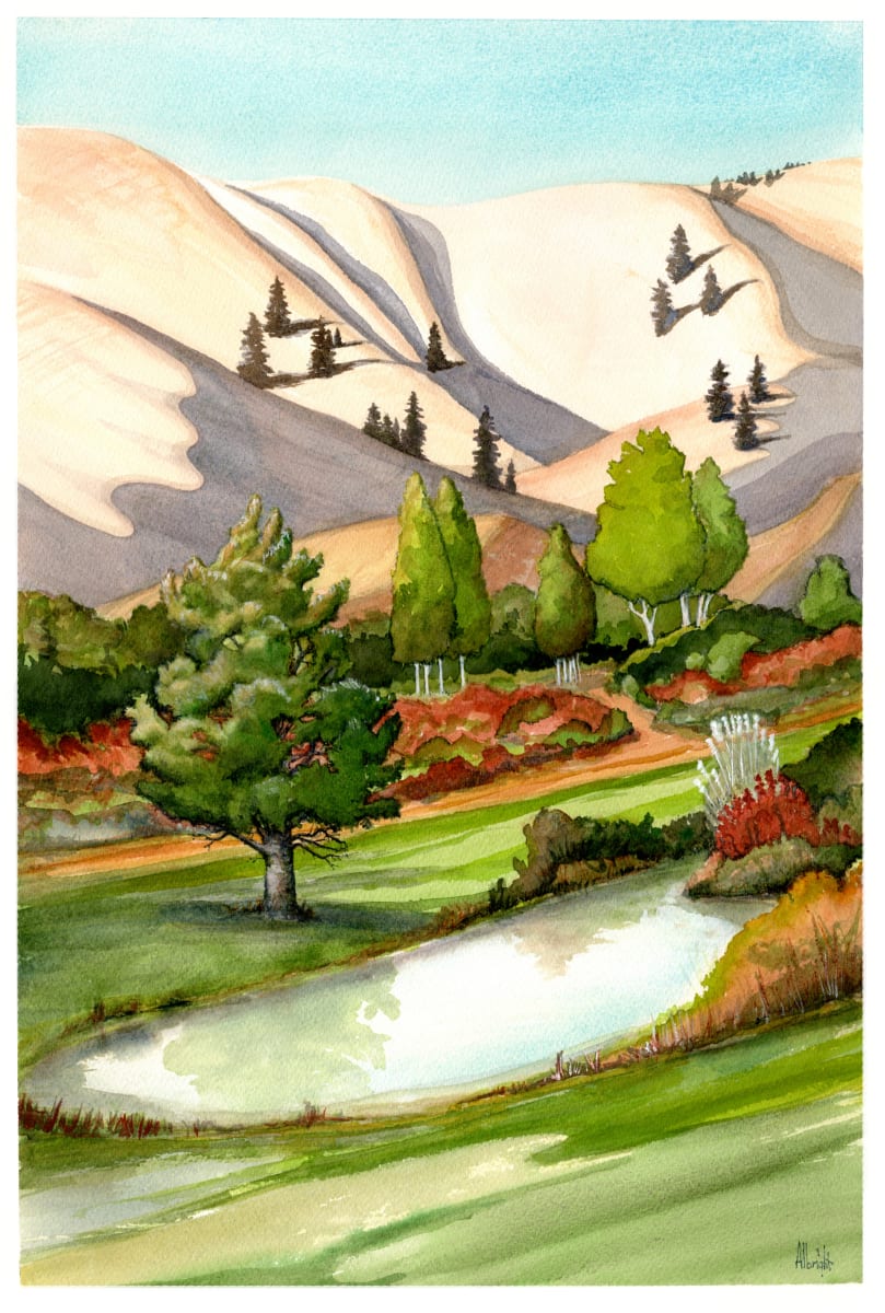 Look Out the Window by Sam Albright 