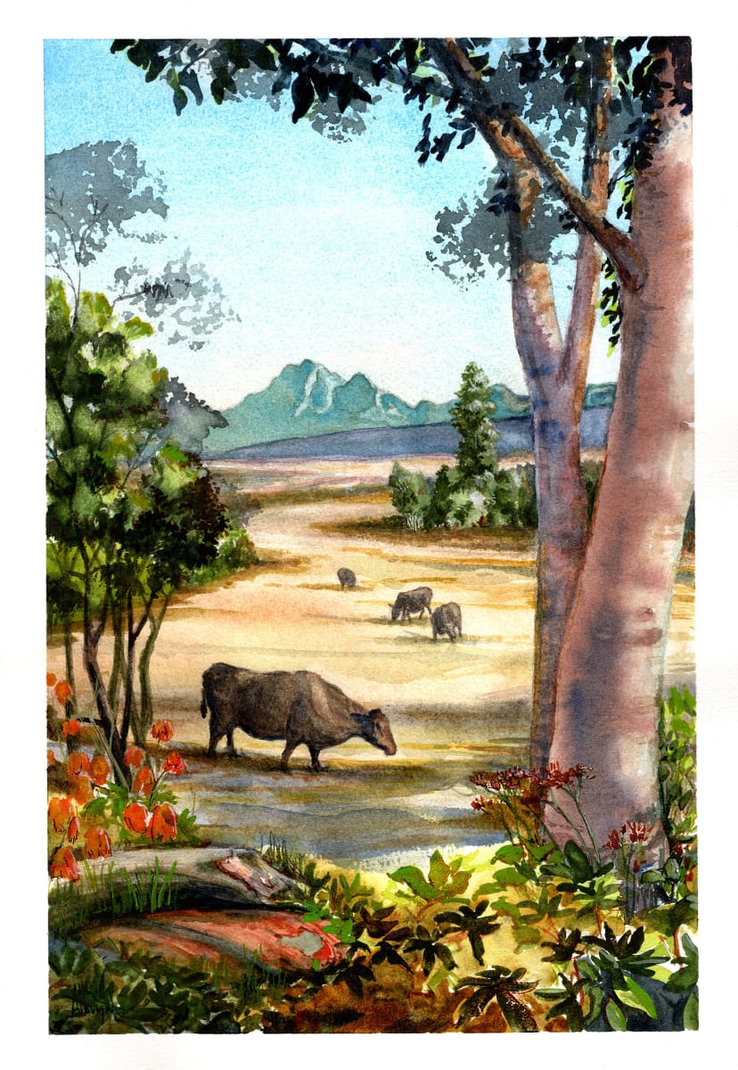 Mt. Stuart Cows by Sam Albright 