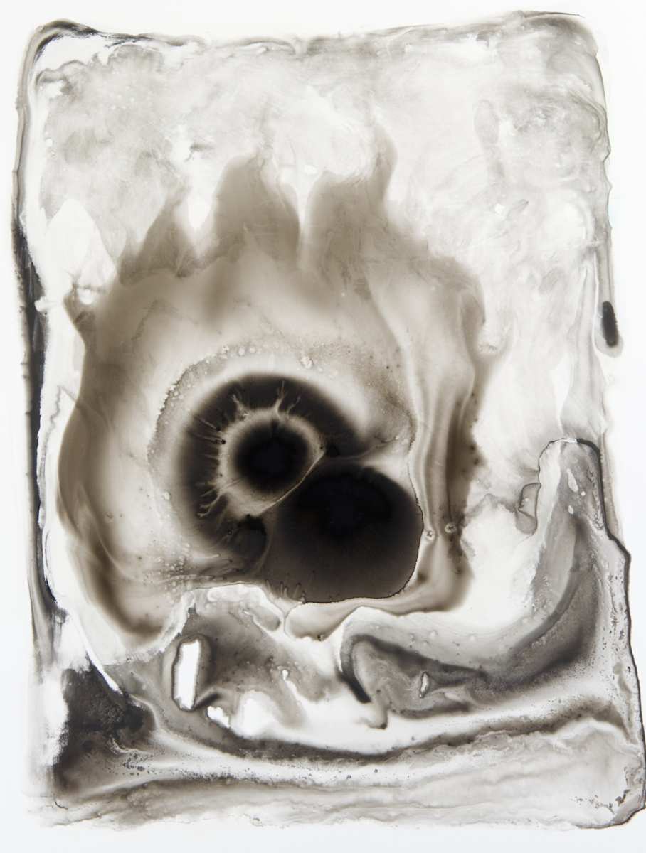 Rheology 892 by Sam Albright 