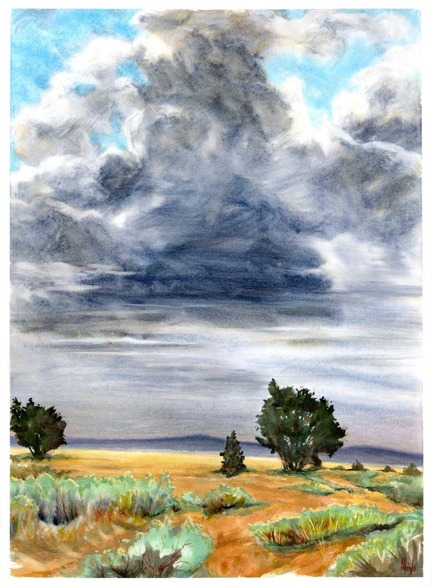 Storm Cloud by Sam Albright, Image 1.