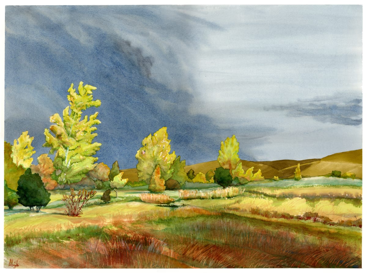 Storm Comin' by Sam Albright 