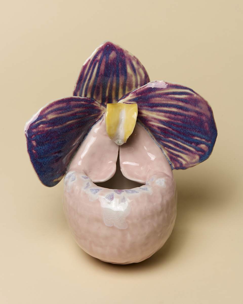Slipper Orchid Pot by Kieu Tran 
