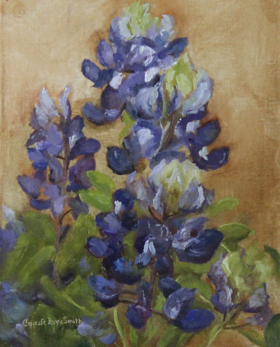 Bluebonnet Study 