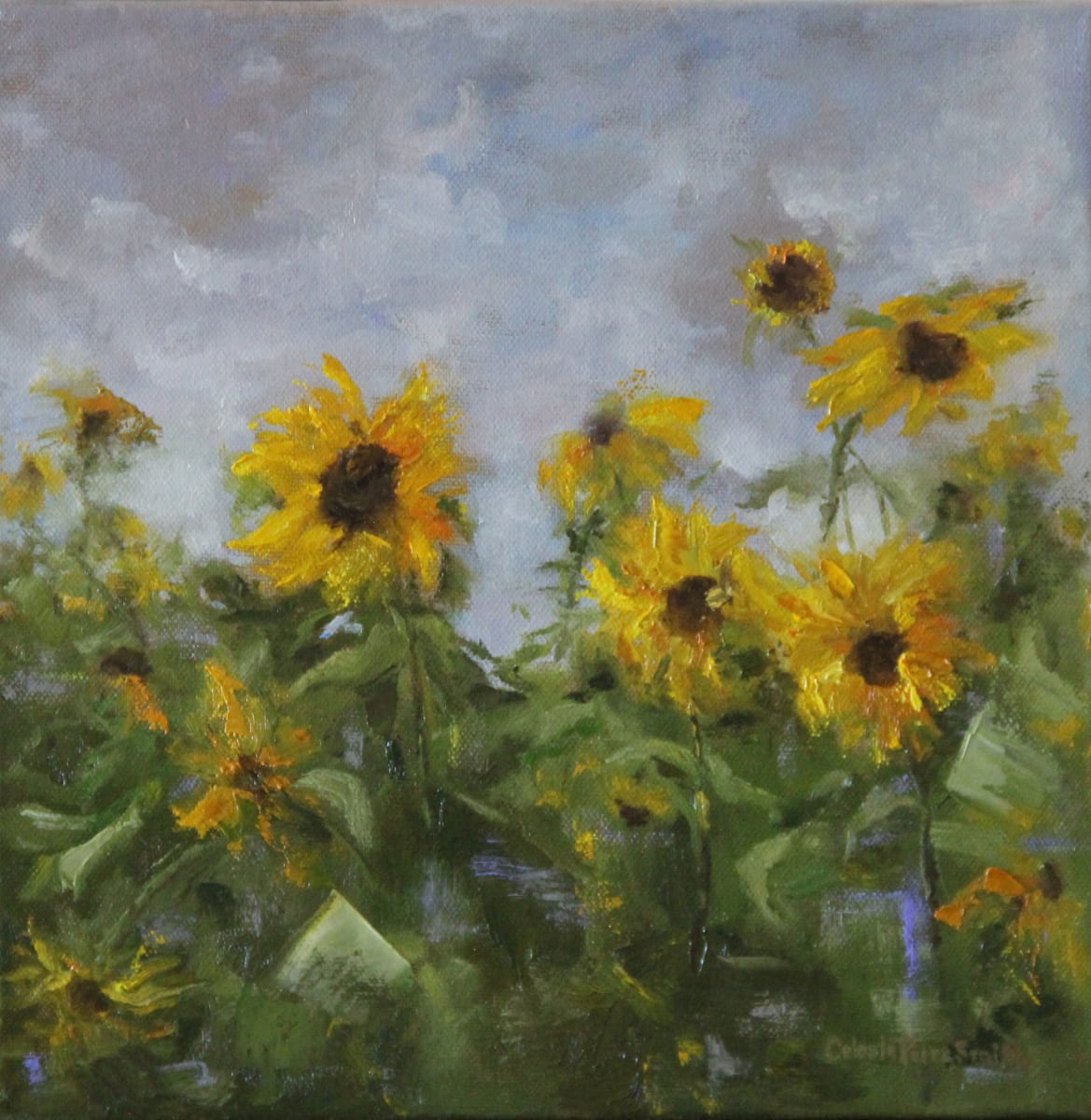Sunflowers in Sync by Celeste Perez Smith Fine Art  Image: Price includes custom float frame