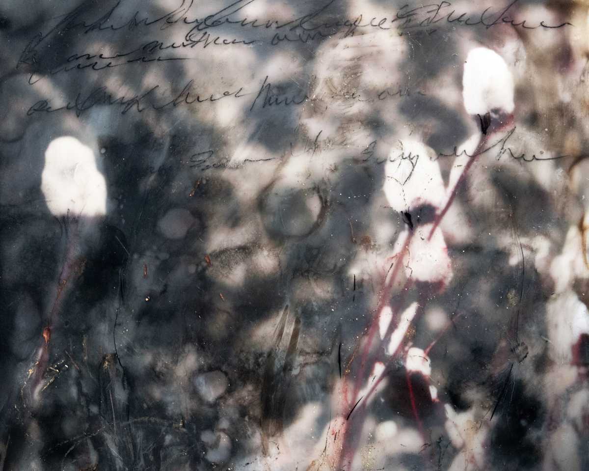 Snow Capped Faeries by Angela Wimmer 