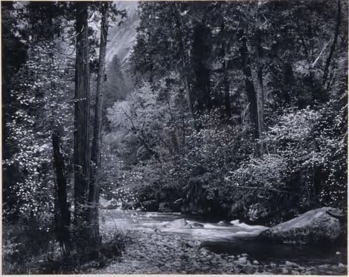 Tenga Creek, Yosemite by Ansel Adams 