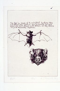 The Bat by Sid Hurwitz 