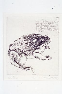 The Toad by Sid Hurwitz 