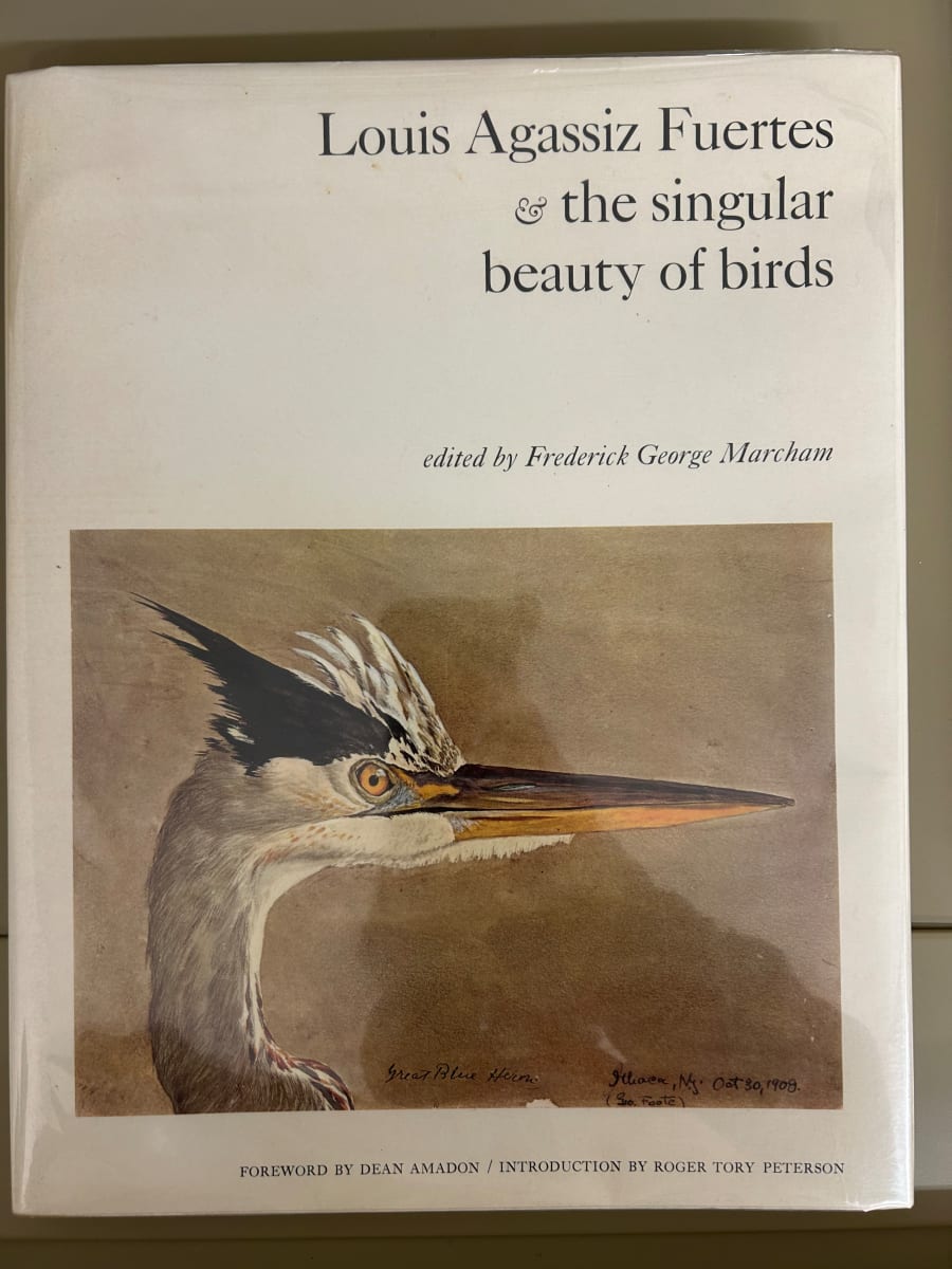 Louis Agassiz Fuertes & the singular beauty of birds by Louis Agassiz Fuertes 
