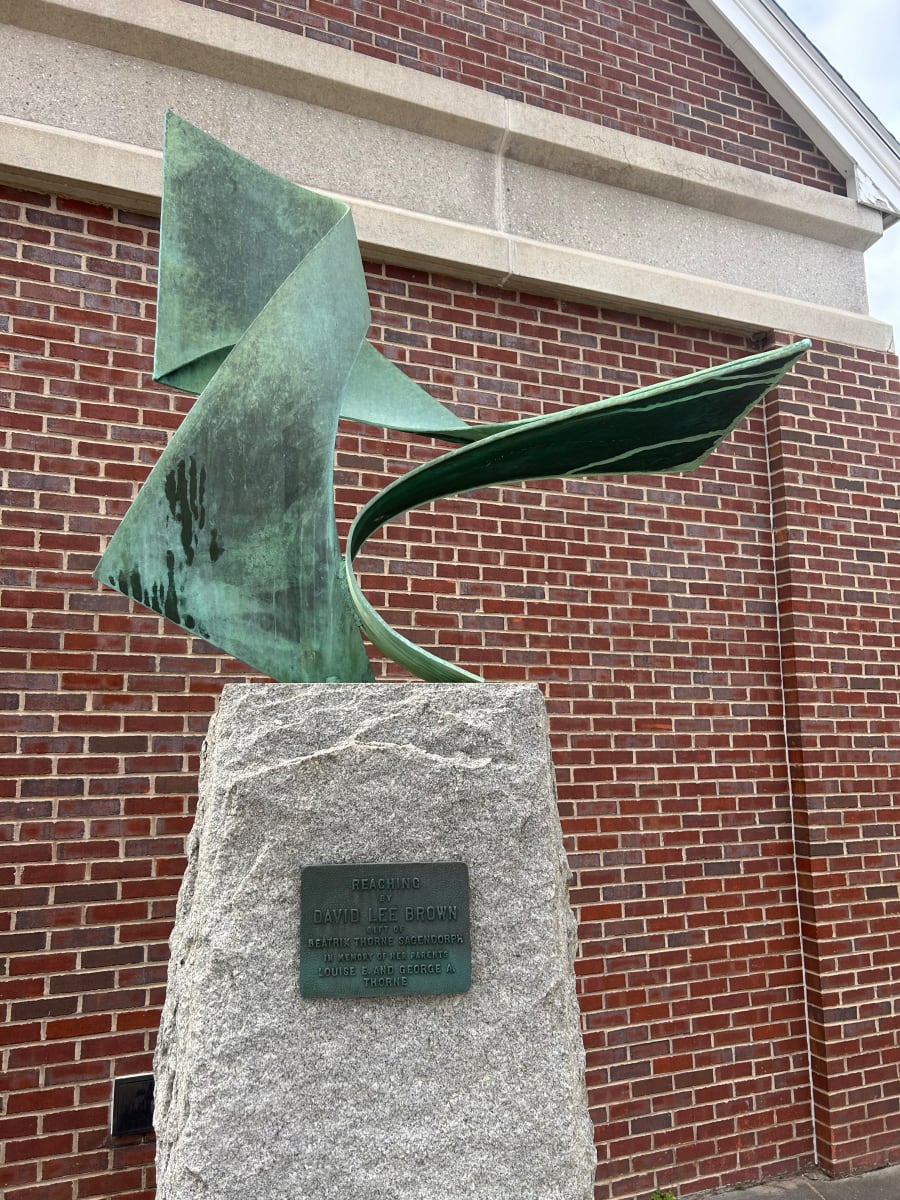 Reaching by David Lee Brown 