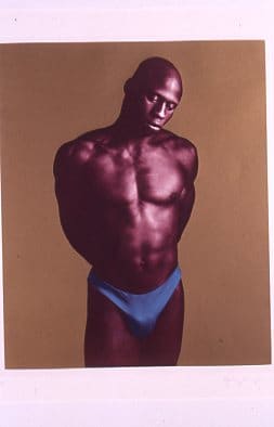 Untitled B by Robert Mapplethrope 