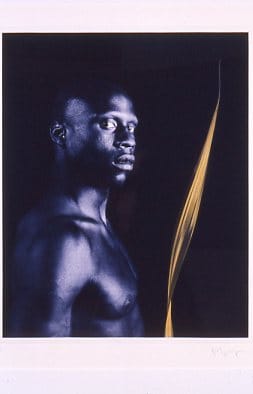 Untitled D by Robert Mapplethrope 