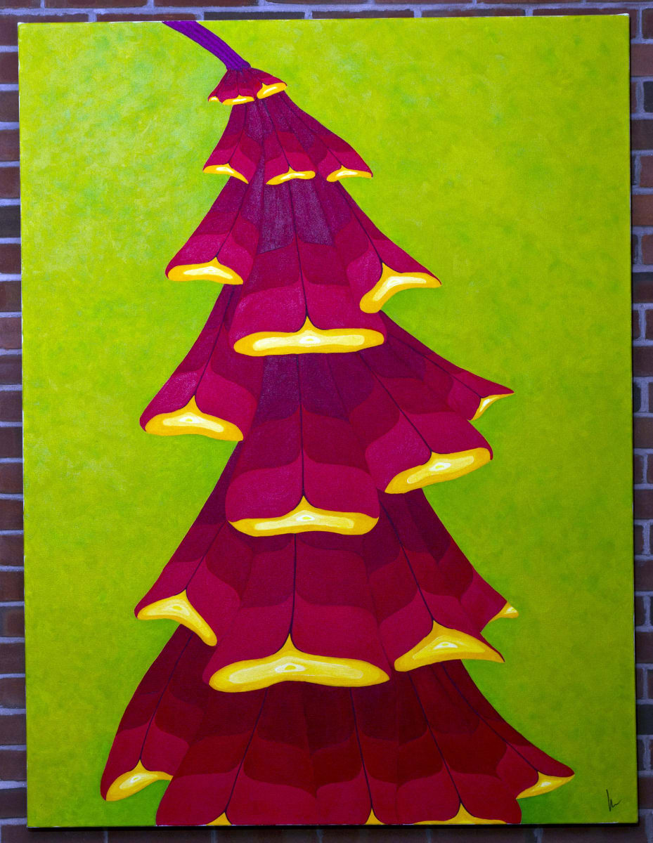 Once Upon a Pine by Kevin Cahill 