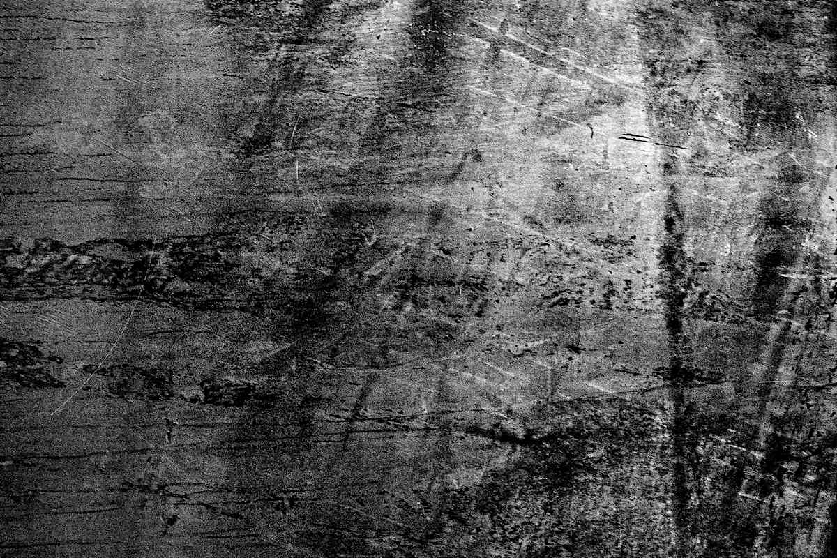 Serra 8 by Michael Benari 