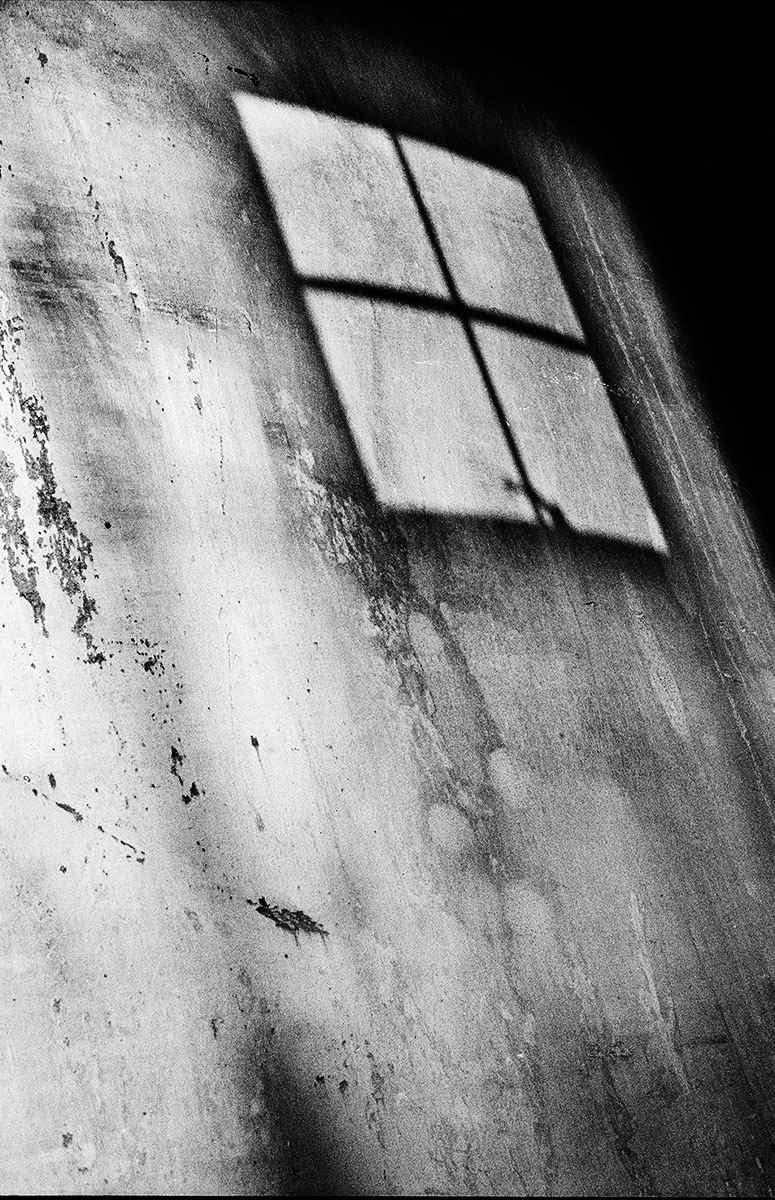 DIA_Serra_10 by Michael Benari, Image 3.