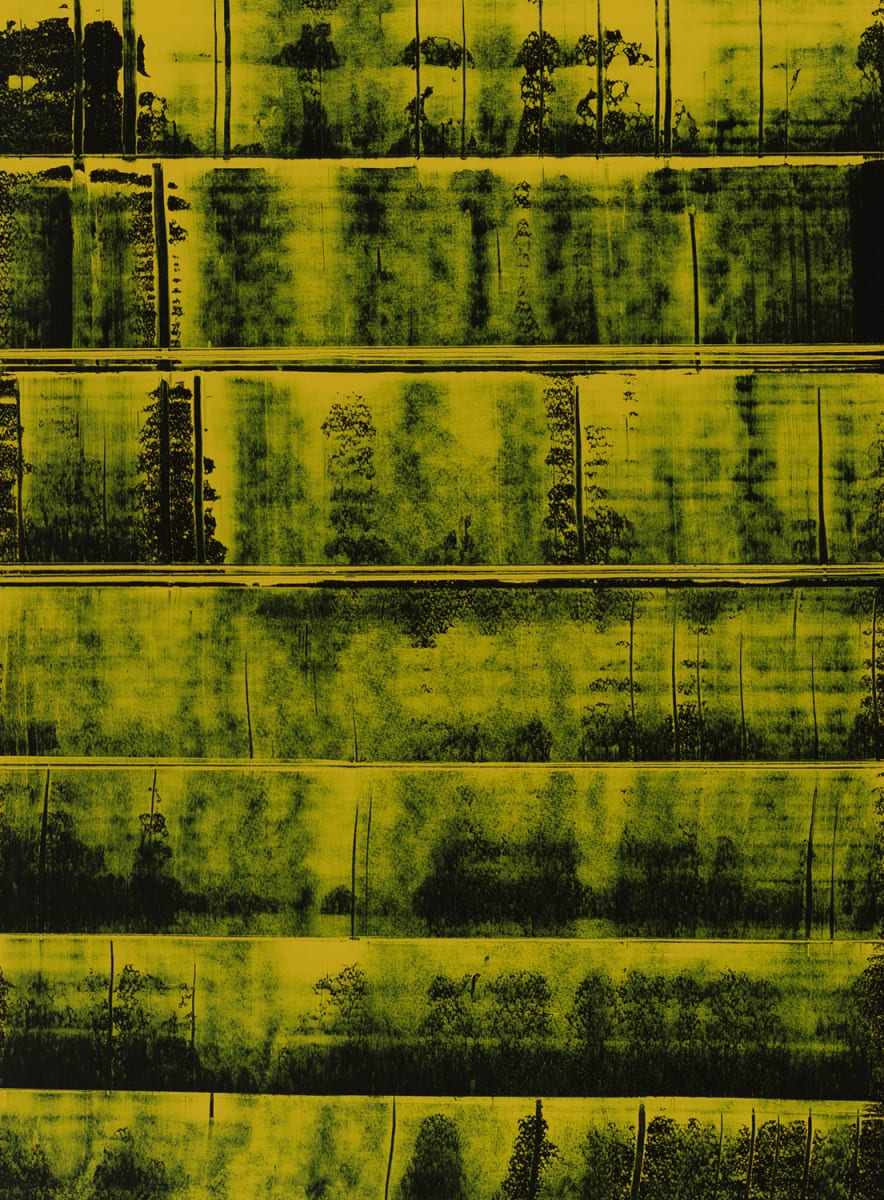 Untitled, Image 1.