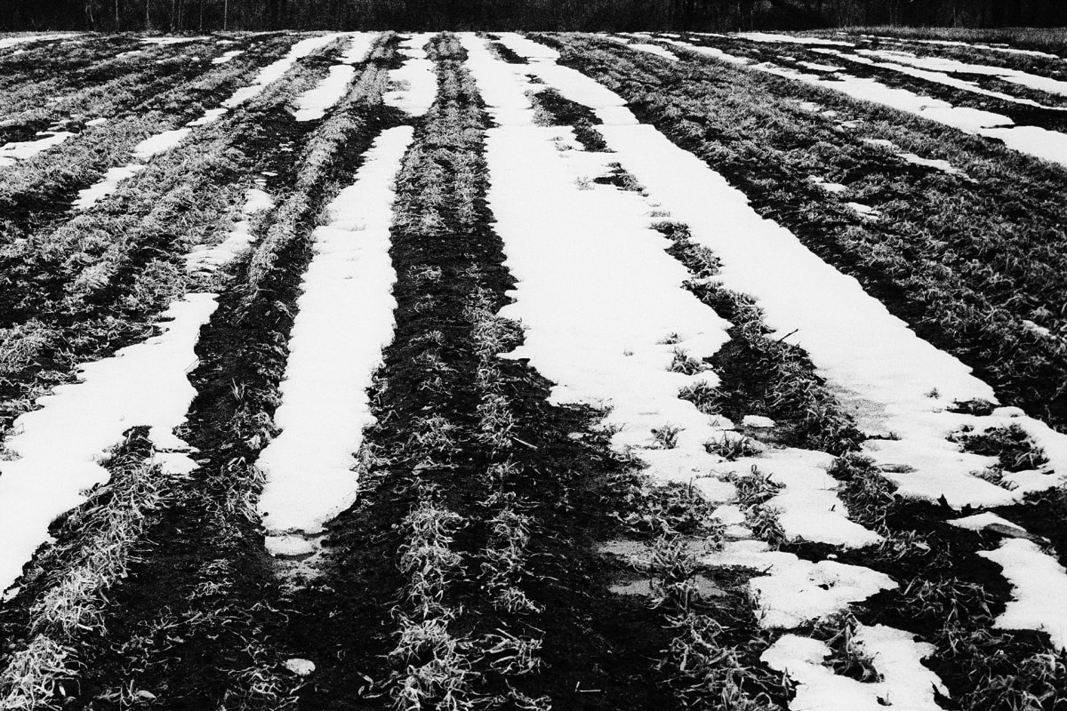 Winter Abstract_1, Image 1.