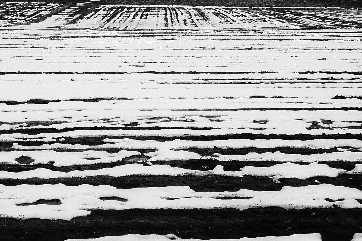 Winter Abstract_6, Image 1.