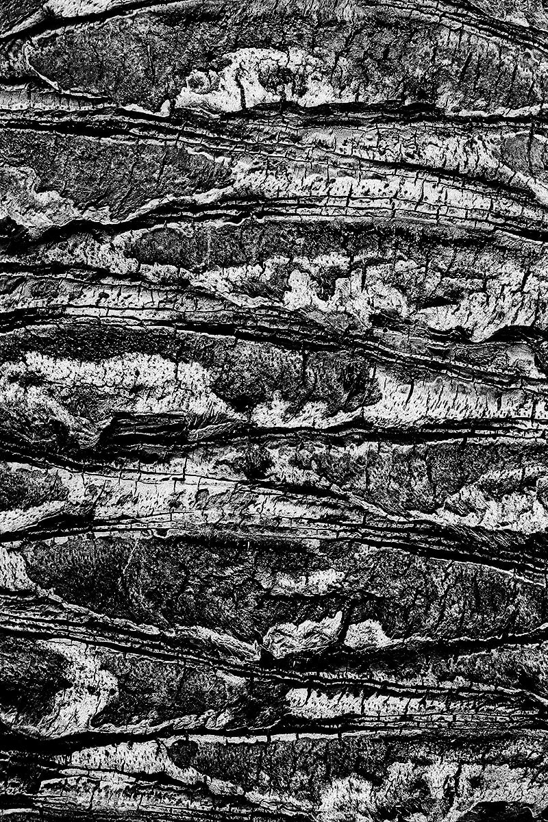Natural Order_2 by Michael Benari, Image 4.