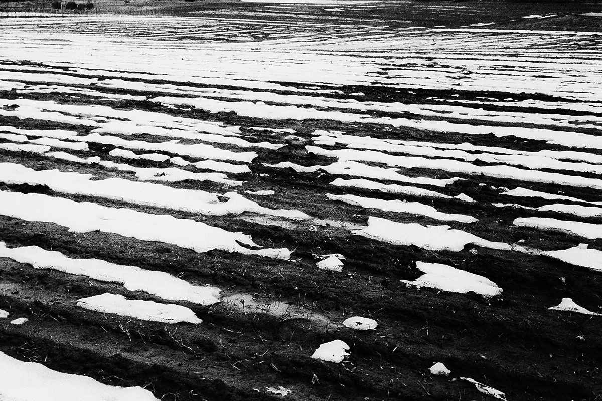 Winter Abstract_3, Image 4.