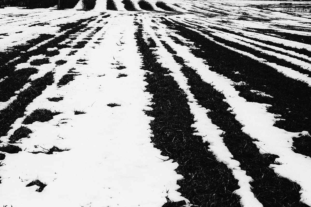 Winter Abstract_2, Image 5.