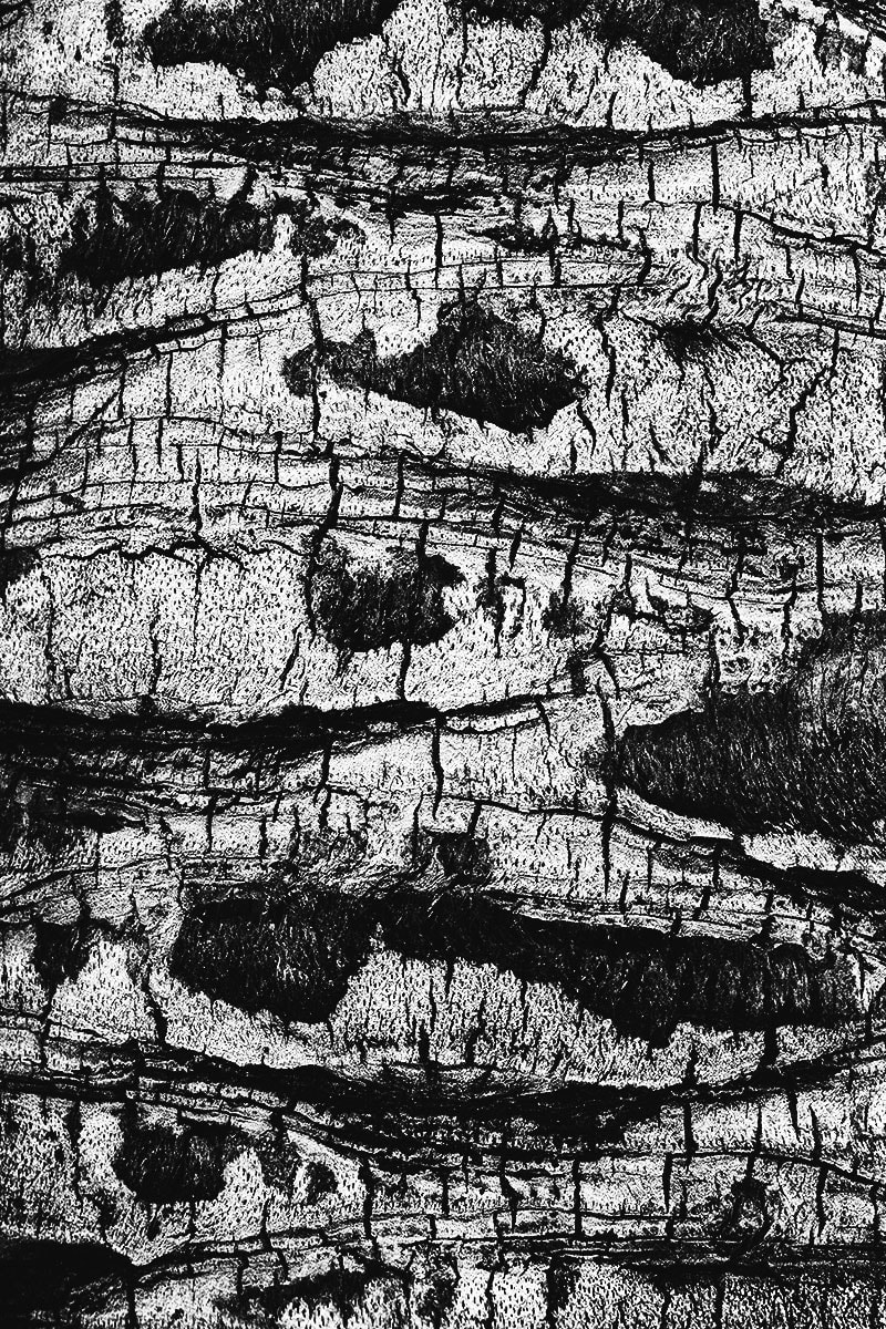 Natural Order_1 by Michael Benari 