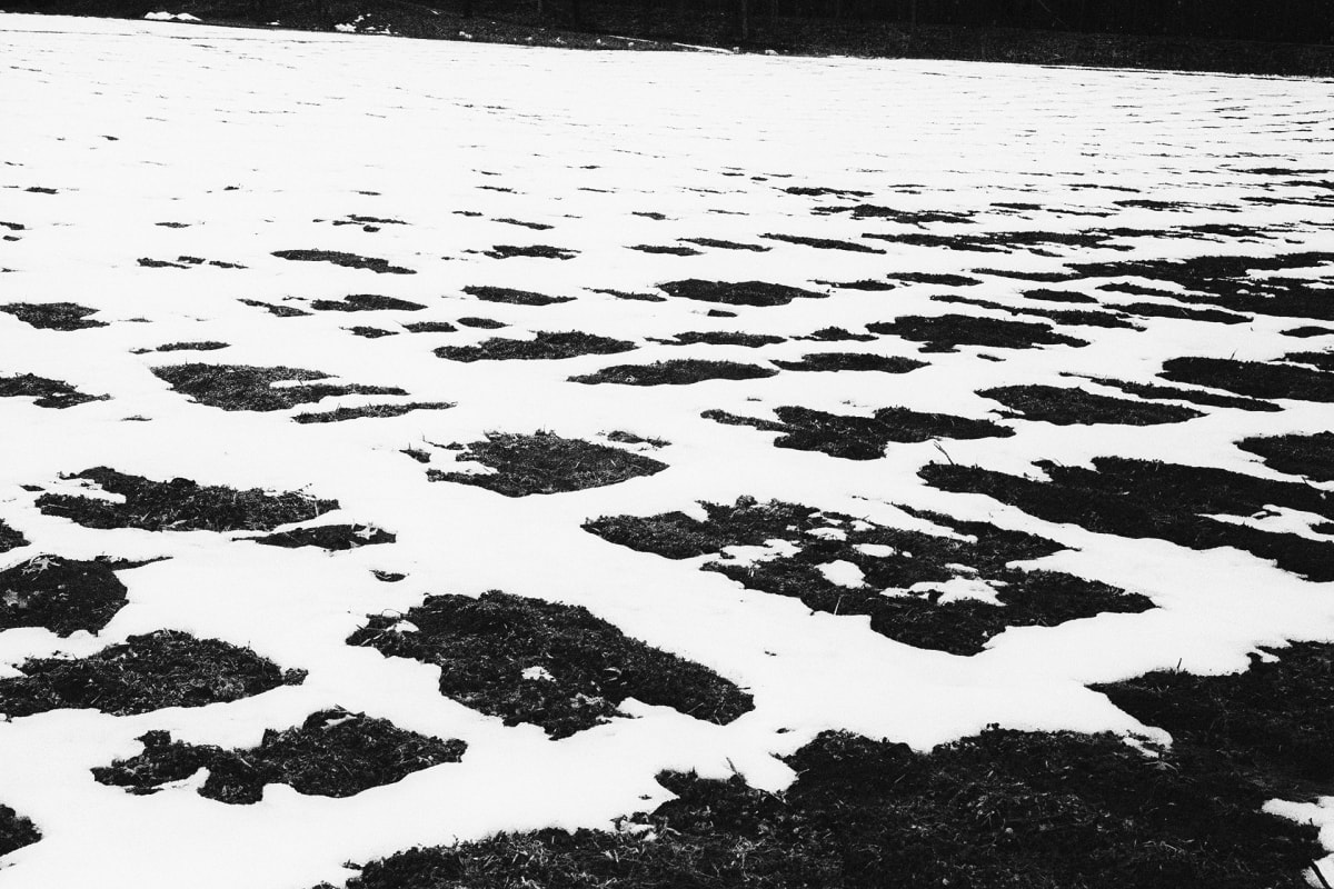 Winter Abstract_4, Image 1.