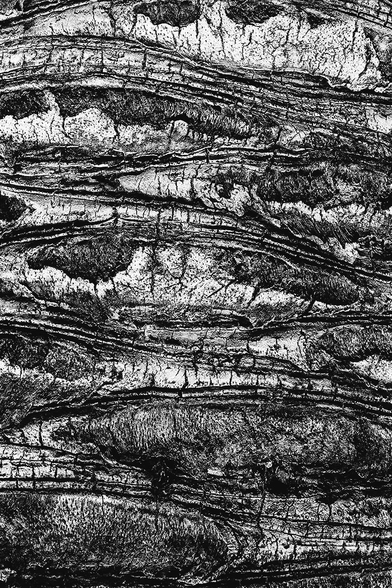 Natural Order_3 by Michael Benari, Image 3.