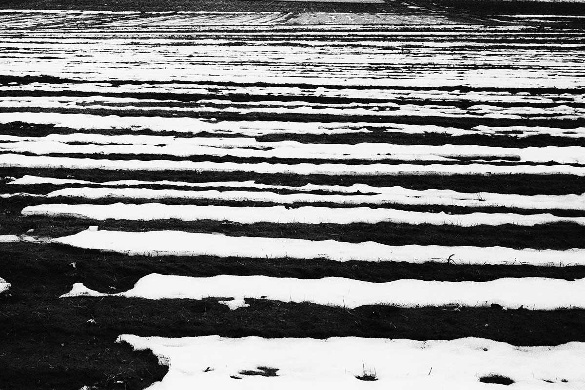Winter Abstract_5, Image 2.