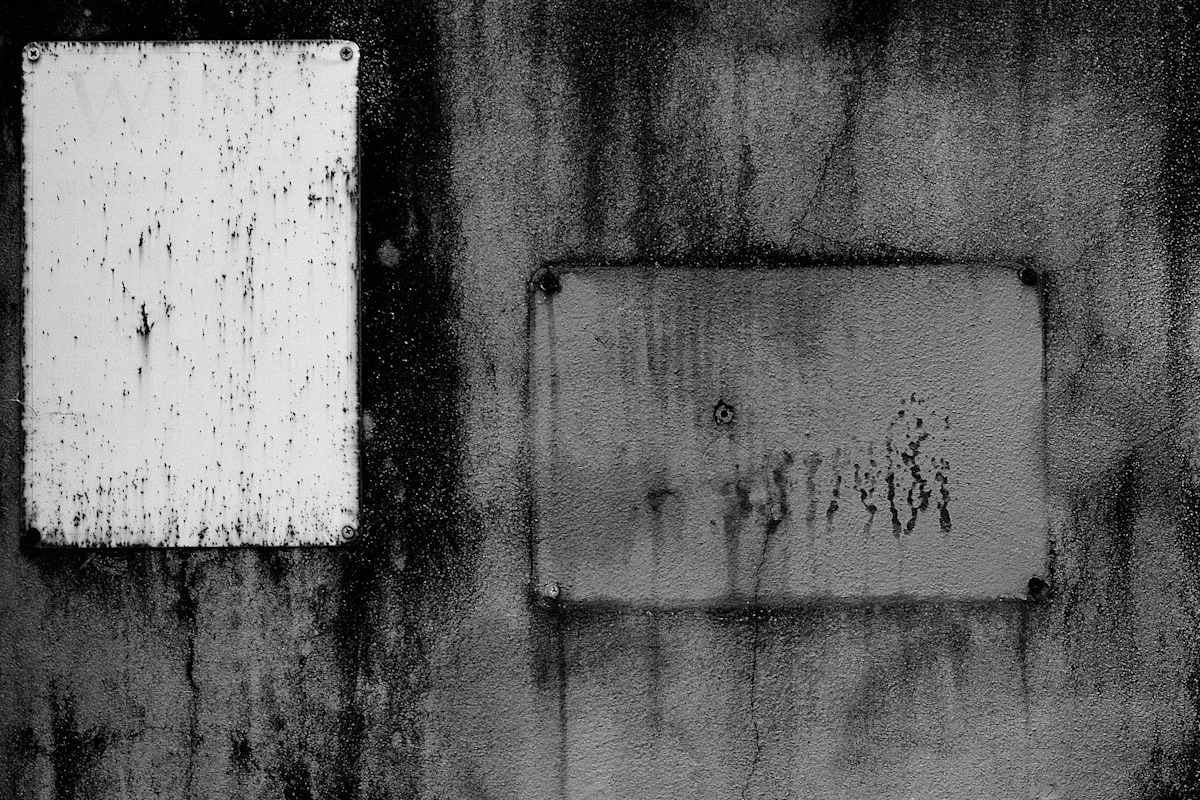 Porto Wall 2 by Michael Benari, Image 7.