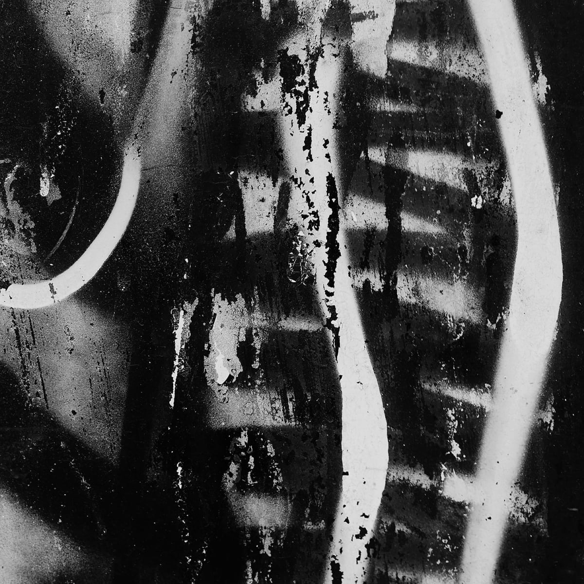 Untitled 5 by Michael Benari, Image 6.