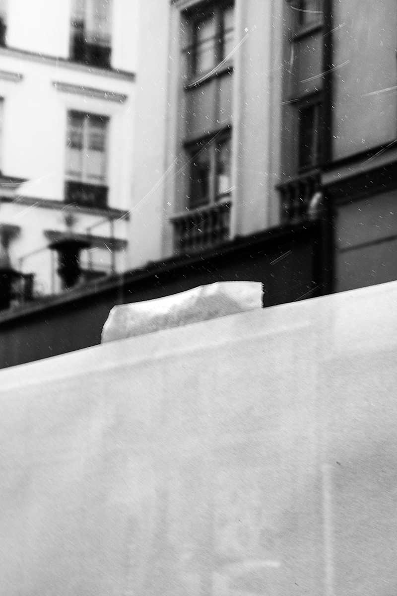 BOG_2 by Michael Benari 