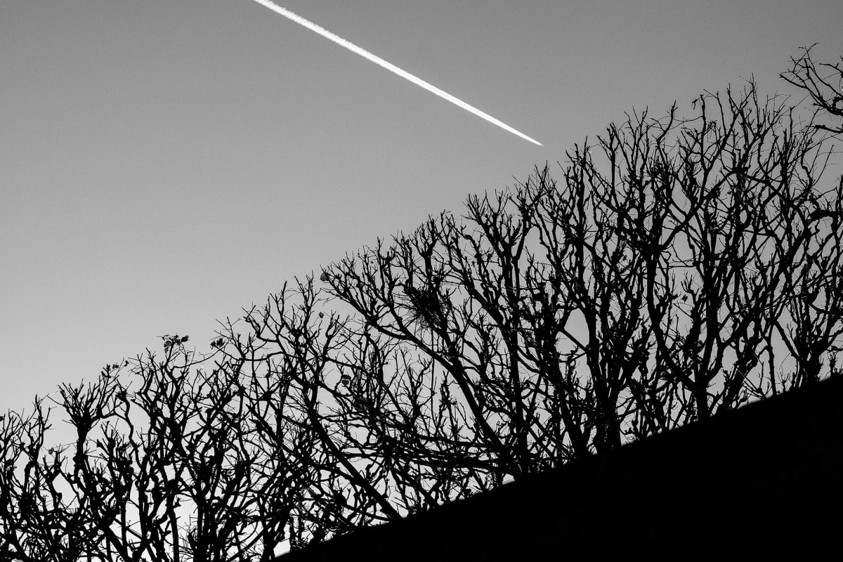 Untitled by Michael Benari 