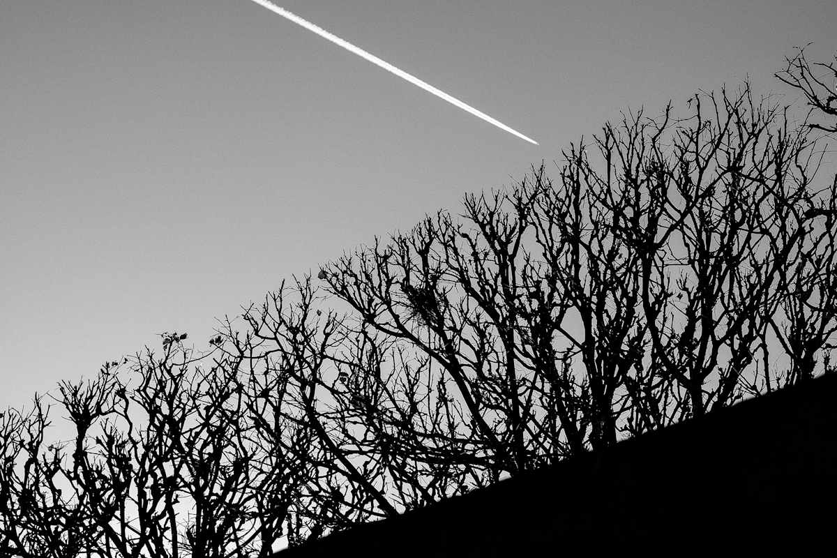 Untitled by Michael Benari, Image 11.