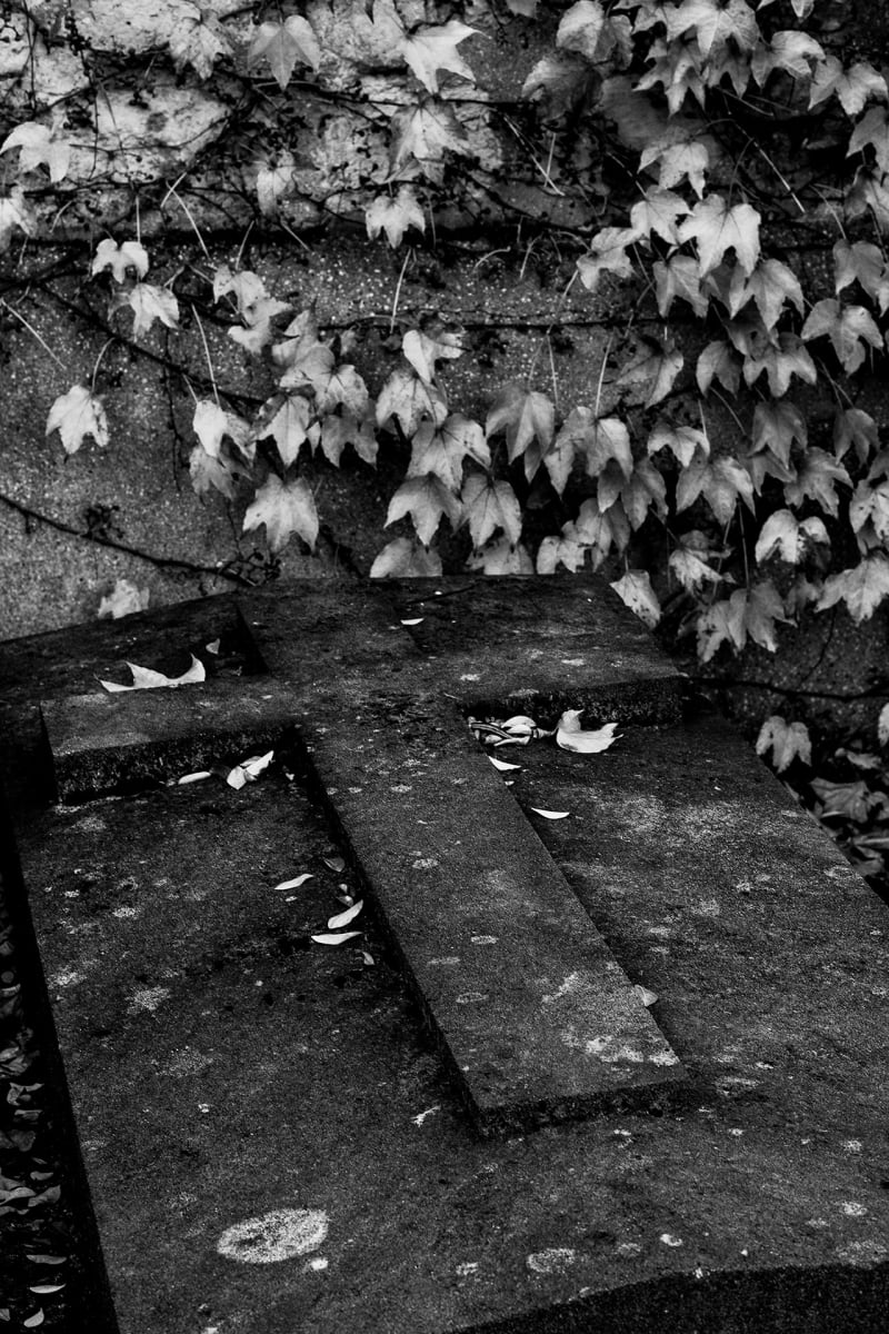 Untitled by Michael Benari 