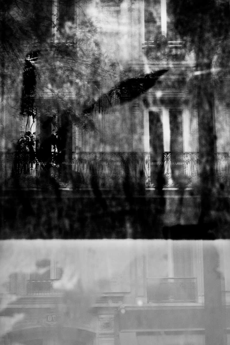 Gray Shadow 5 by Michael Benari 