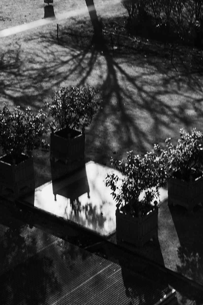 Untitled by Michael Benari, Image 1.