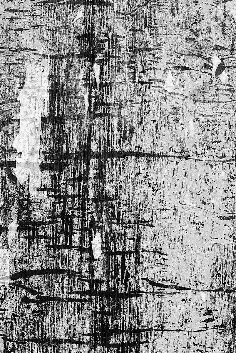 Rips 1 by Michael Benari 