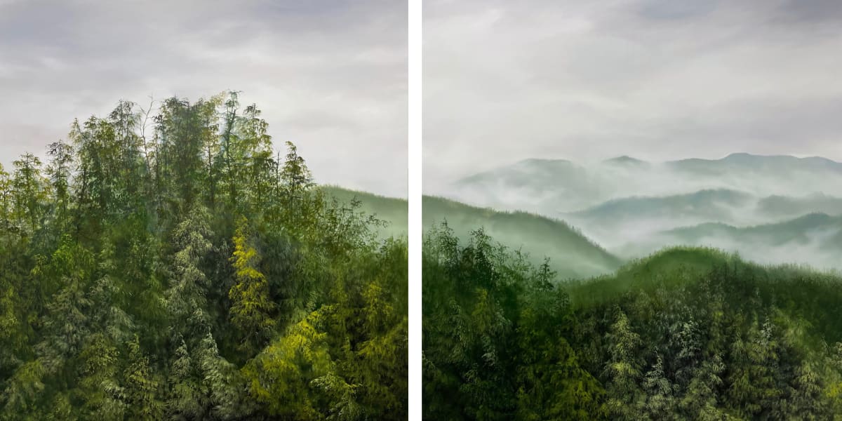 Forest for the Trees by Corrinne Wolcoski  Image: Diptych of Central Coast Forest