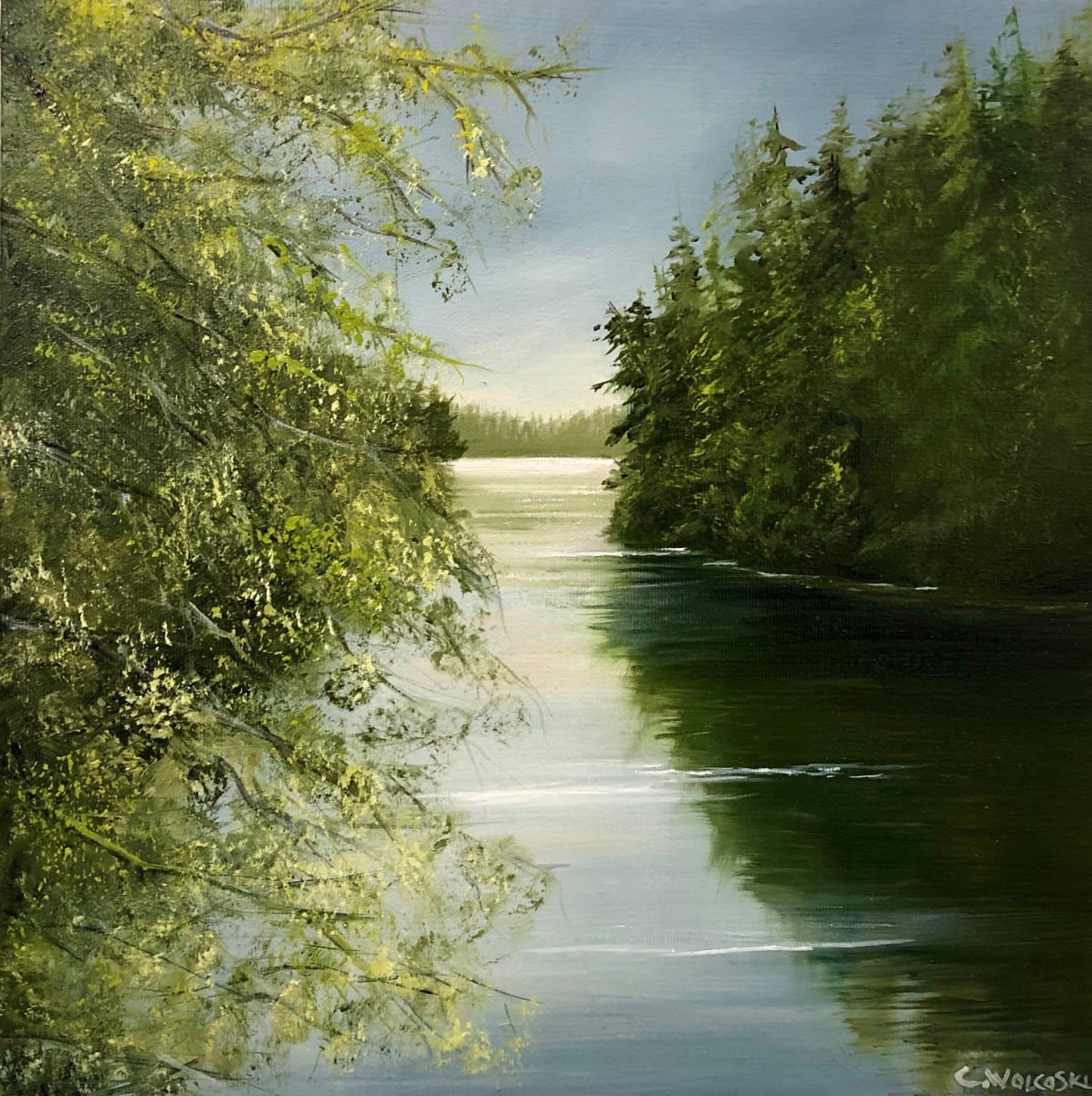 Shadows Along Kumbis River by Corrinne Wolcoski 