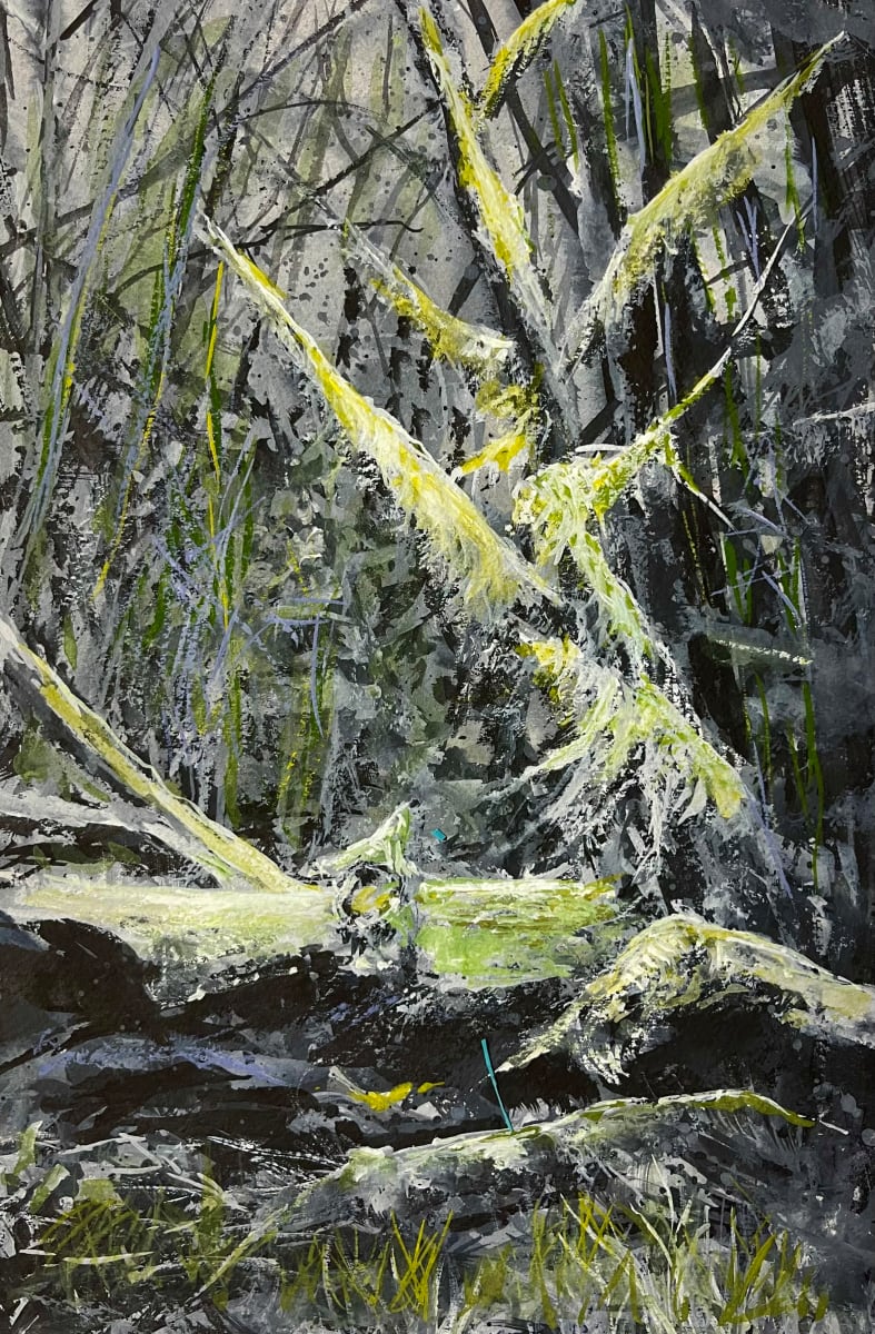 Deep Woods by Corrinne Wolcoski  Image: Naikoon Park, Haida Gwaii